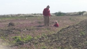 20150416_162827-W1100